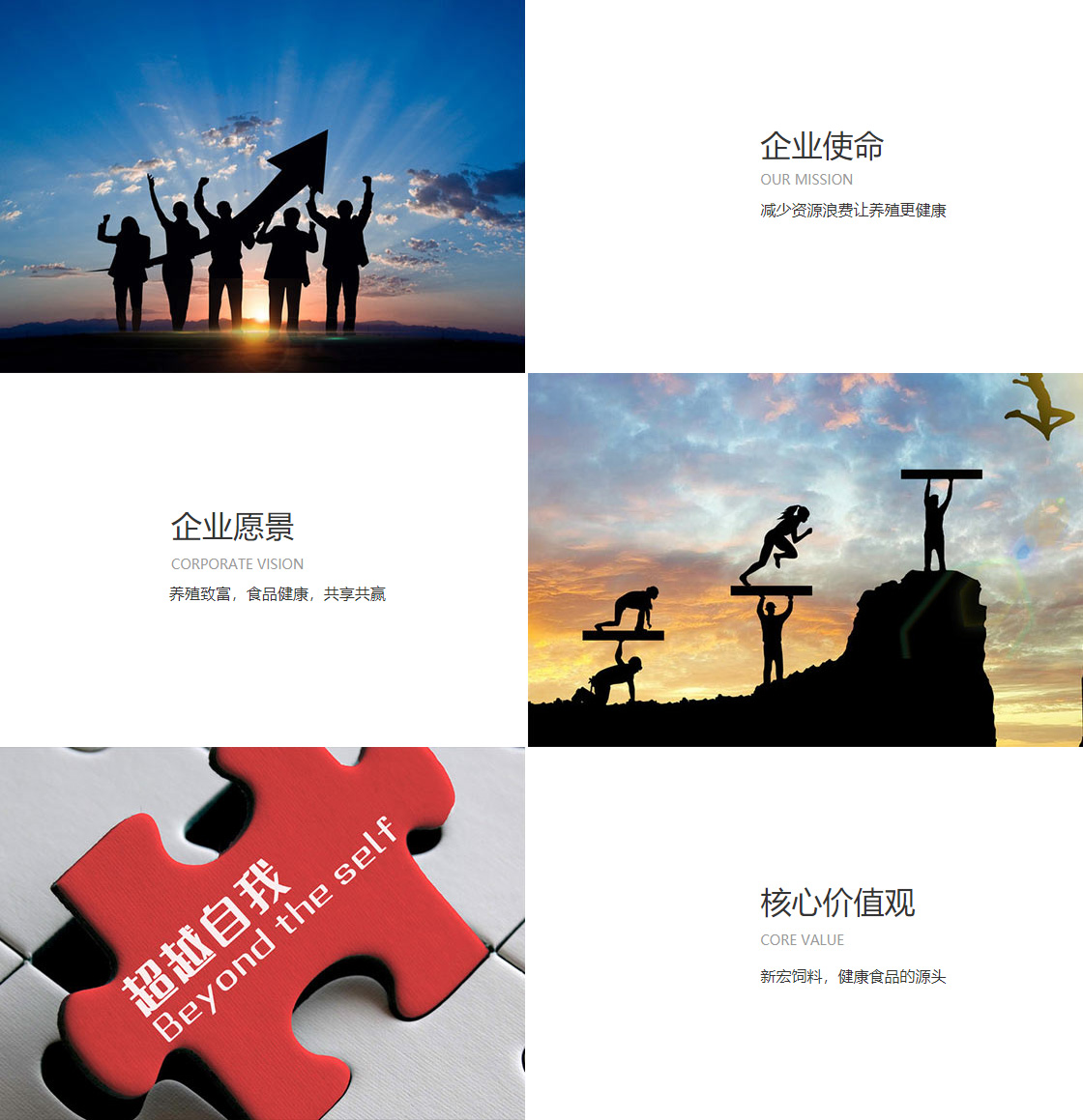 半岛网页版登入界面(图1)